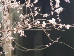 景点-三里河公园