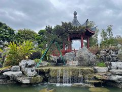 -东莞植物园
