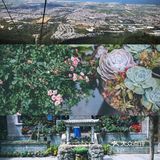 其他拆剩的环境一般 住双廊亲水房一定要有管家服务的