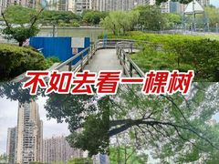-苏州河梦清园环保主题公园