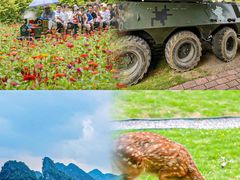 -英西峰林·洞天仙境