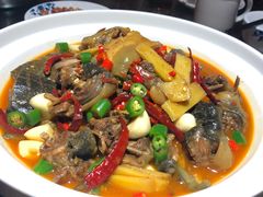 野生甲鱼-兄弟宁乡龙城(麓景路店)