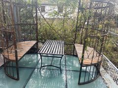 -喵屿·大理花园猫咖