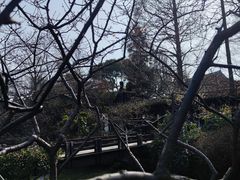 -红梅公园