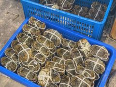 -品鲜村农家菜·阳澄湖大闸蟹(总店)