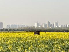 -汉长安城未央宫国家考古遗址公园