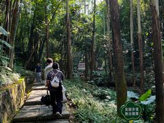 -黄埔油麻山森林公园