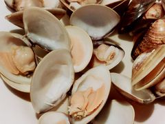 -凯华海鲜火锅·传承三十六年