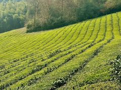 -敬亭山风景名胜区