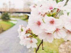 -上海植物园-4号门售票处