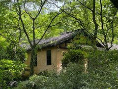 -韬光茶庵