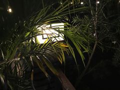 -香山小厨(南联路店)