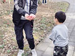 -1982农场