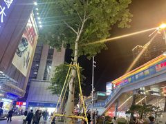 -华强北赛格通信市场批发档口(赛格康乐大厦店)