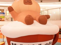 -深圳龙华星河COCO City(民治店)