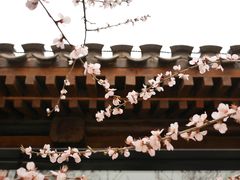 -三里河公园