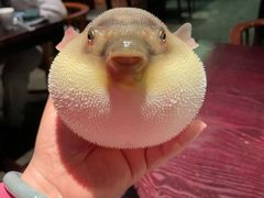 -永安鱼庄·镇江菜(东吴路店)