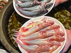 -石锅苗苗鱼(武汉首店)