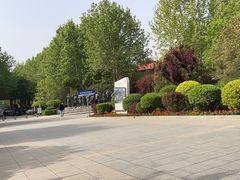 -南宫五洲植物乐园