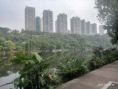 -重庆彩云湖湿地公园