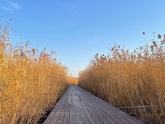 -永定河休闲森林公园
