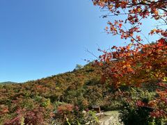 -龙道沟景区
