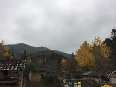 -南雄冯屋银杏山庄