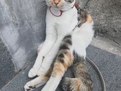 -Again Coffee Roaster(香蜜湖店)