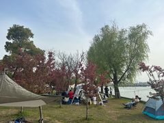 -阳澄湖半岛旅游度假区