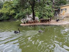 -昆明动物园