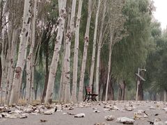 -东郊湿地公园