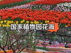 -国家植物园