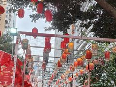 -越秀西湖花市(广州城市广场花卉店)