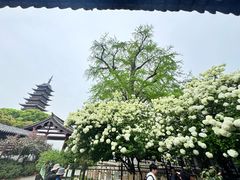 -常熟方塔园