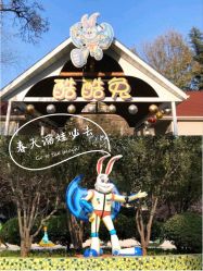 -酷酷兔少儿拓展天地
