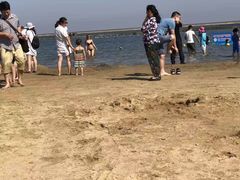 -碧海金沙