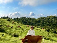 -大姆山草场