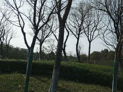 -九里河湿地公园