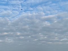 -滨海公园
