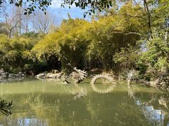 -汇龙潭