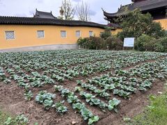 -重元寺香积厨素斋馆