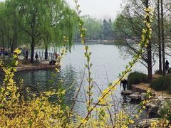 -北京西山国家森林公园