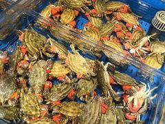 -开海·红岛海鲜虾水饺(石老人店)