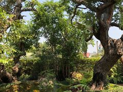 -Chom Cafe and Restaurant