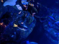 -沈阳海洋探索中心