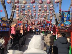 -北戴河集发农业梦想王国