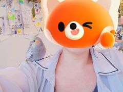 -吉丁鸟咖·异宠·寄养