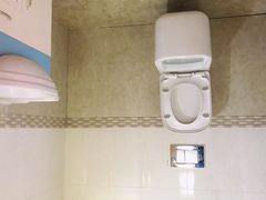 -金山农民画村-枫泾波兰倒置屋
