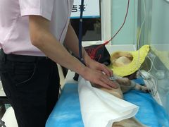 -纳吉亚猫专科动物诊疗中心(蒋宅口分院)