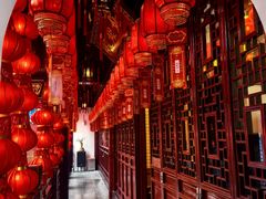 -上海白云观